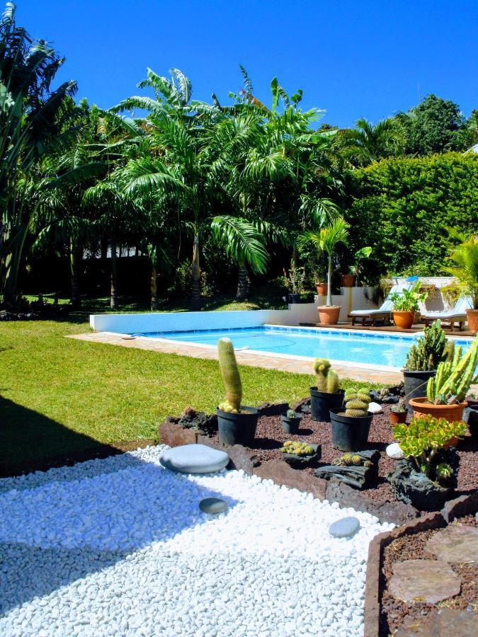Noël Villa Arbre Du Voyageur, 4 Etoiles Et 4 Clevacances מראה חיצוני תמונה