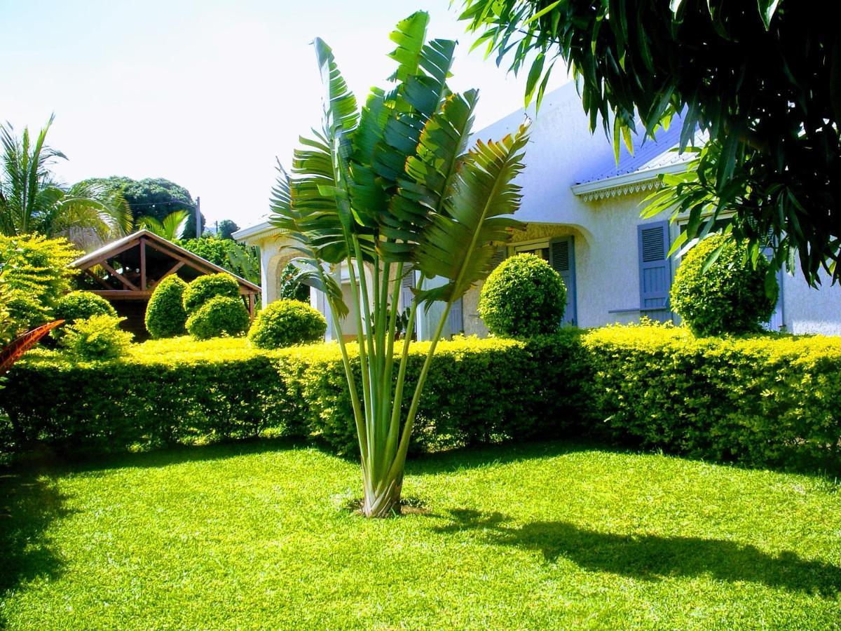 Noël Villa Arbre Du Voyageur, 4 Etoiles Et 4 Clevacances מראה חיצוני תמונה